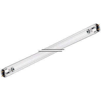 6W Phillips Lamps - SKS Wholesale