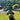 Cloud Tree 15 - 160cm